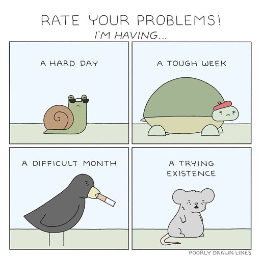 Which is you?