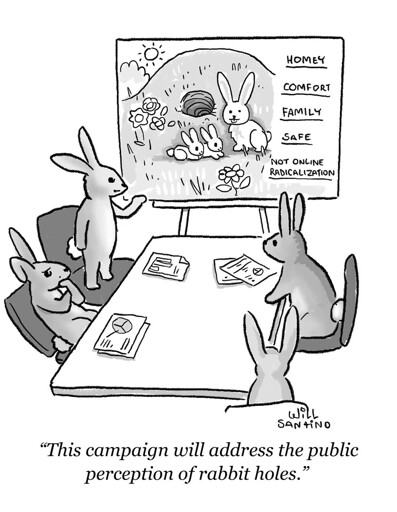 Rabbits in front of a whiteboard saying "the campaign will address the public perception of rabbit holes" 